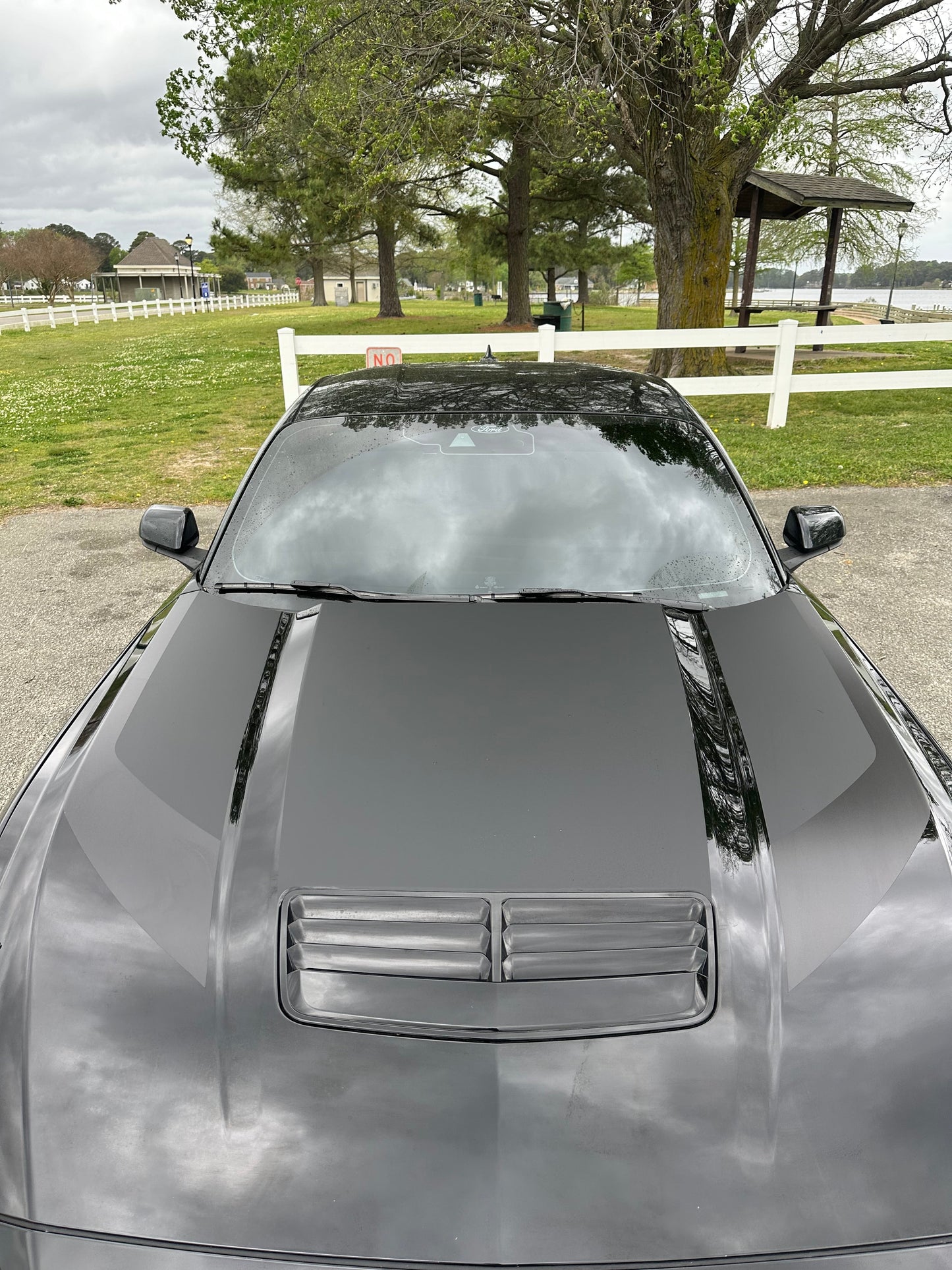 Combo Hood Graphics - Printed Accents (2024+ Mustang)