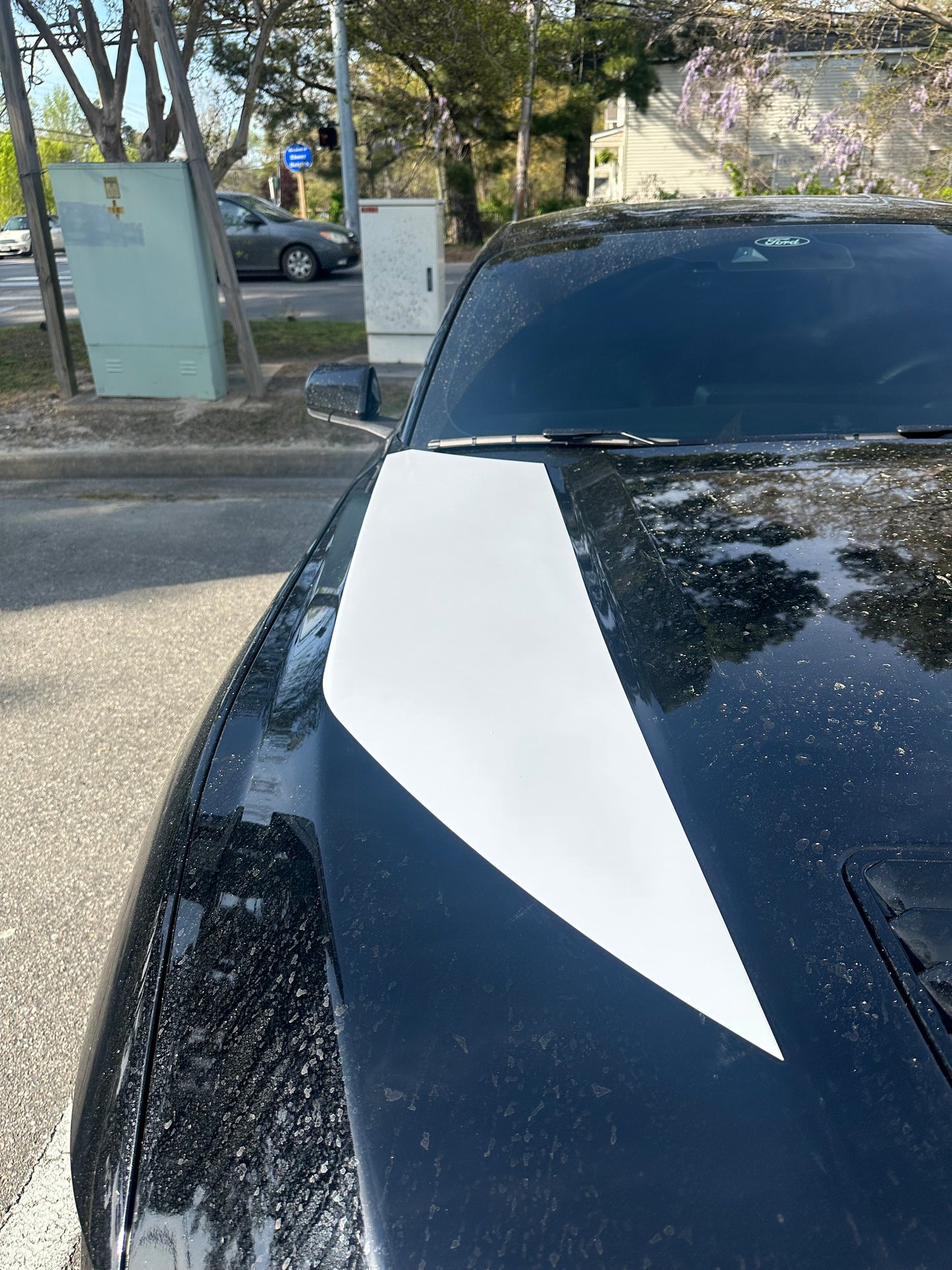 Hood Spear Graphics (2024+ Mustang)