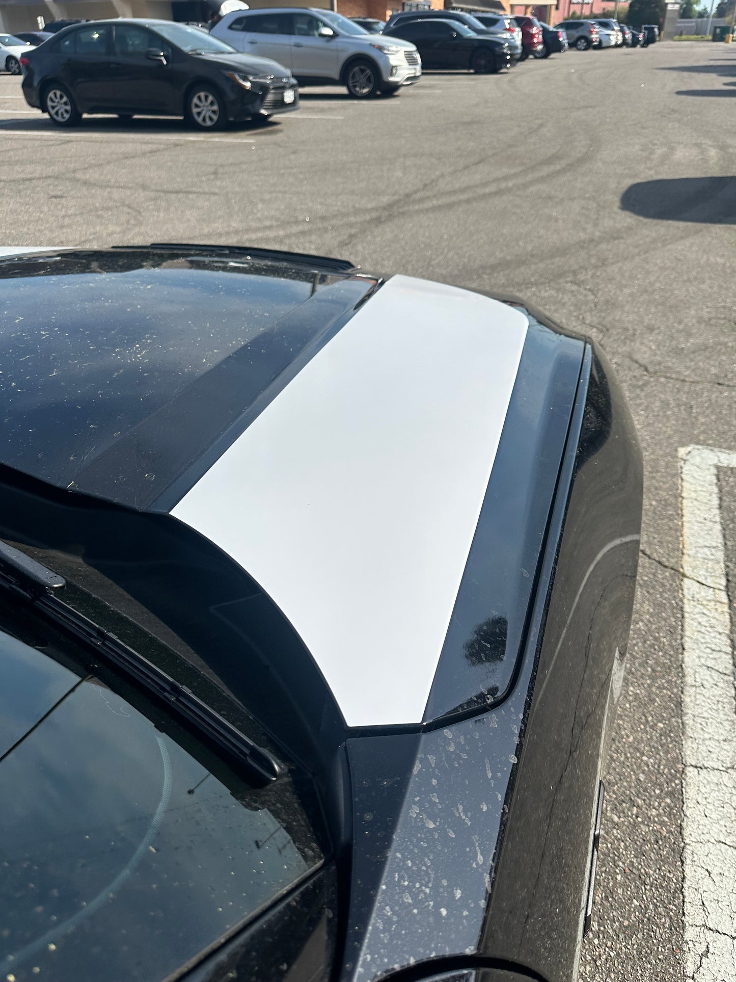 Hood Spear Graphics (2024+ Mustang)