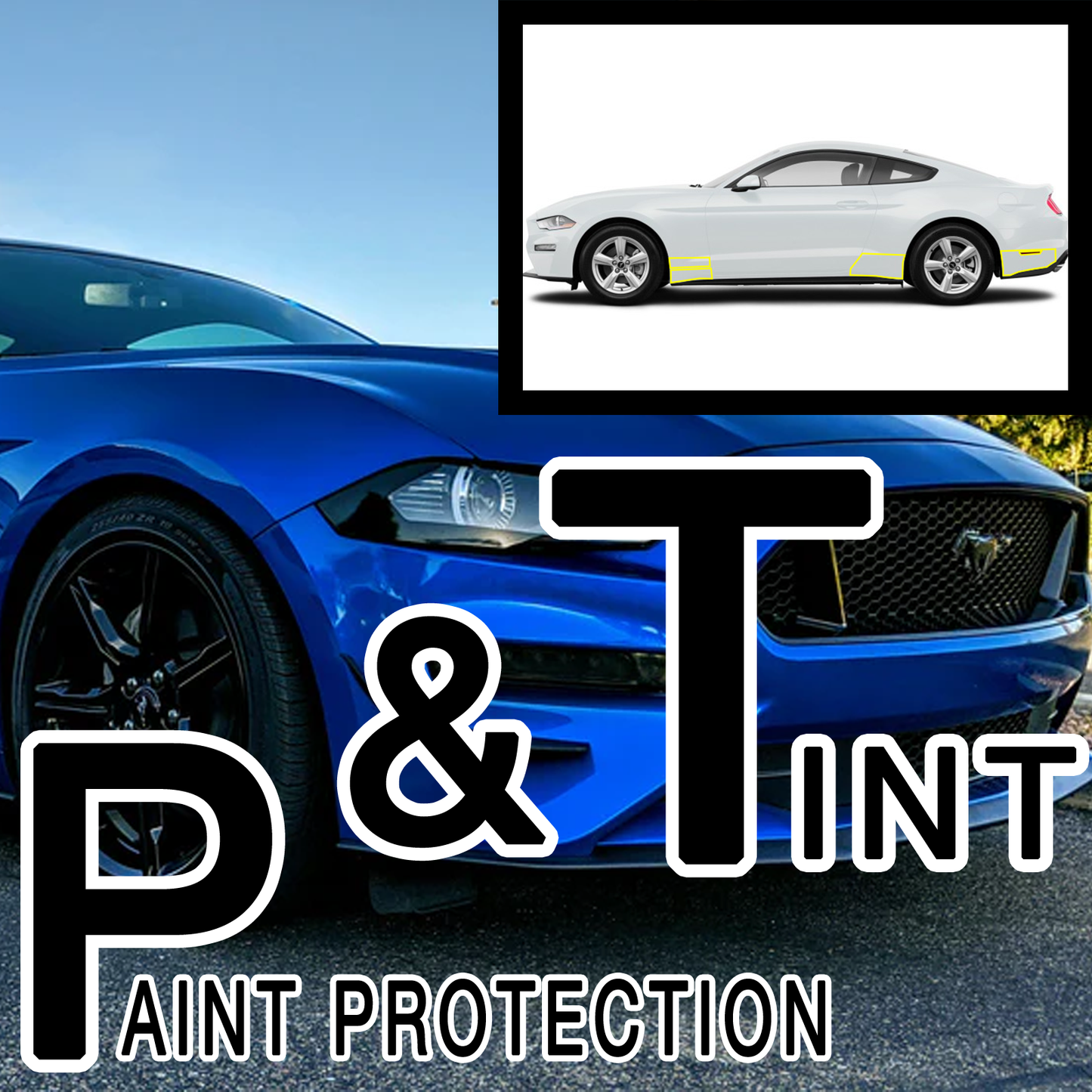 2018-2023 Mustang Lens Tint and Paint Protection