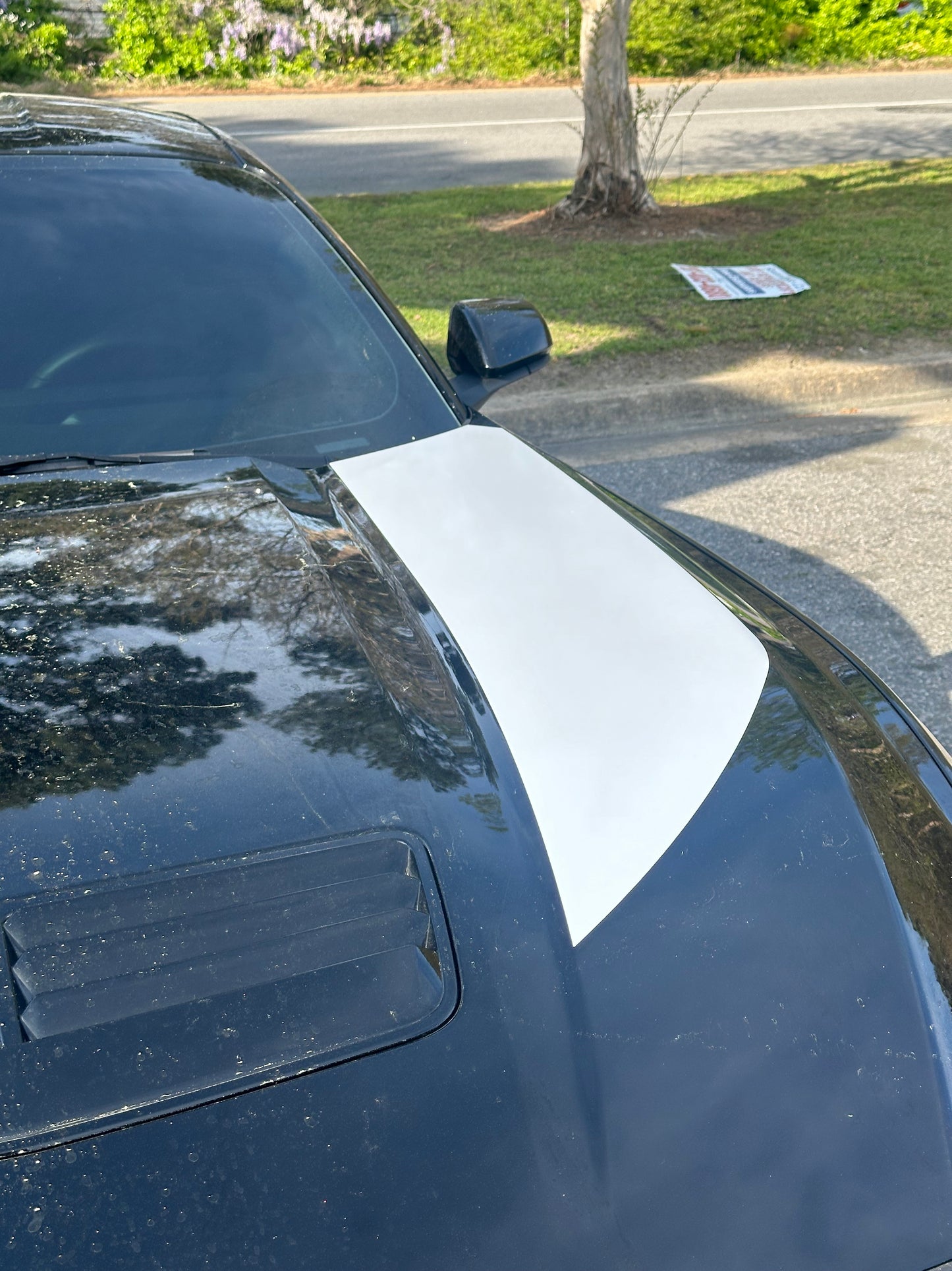 Hood Spear Graphics (2024+ Mustang)