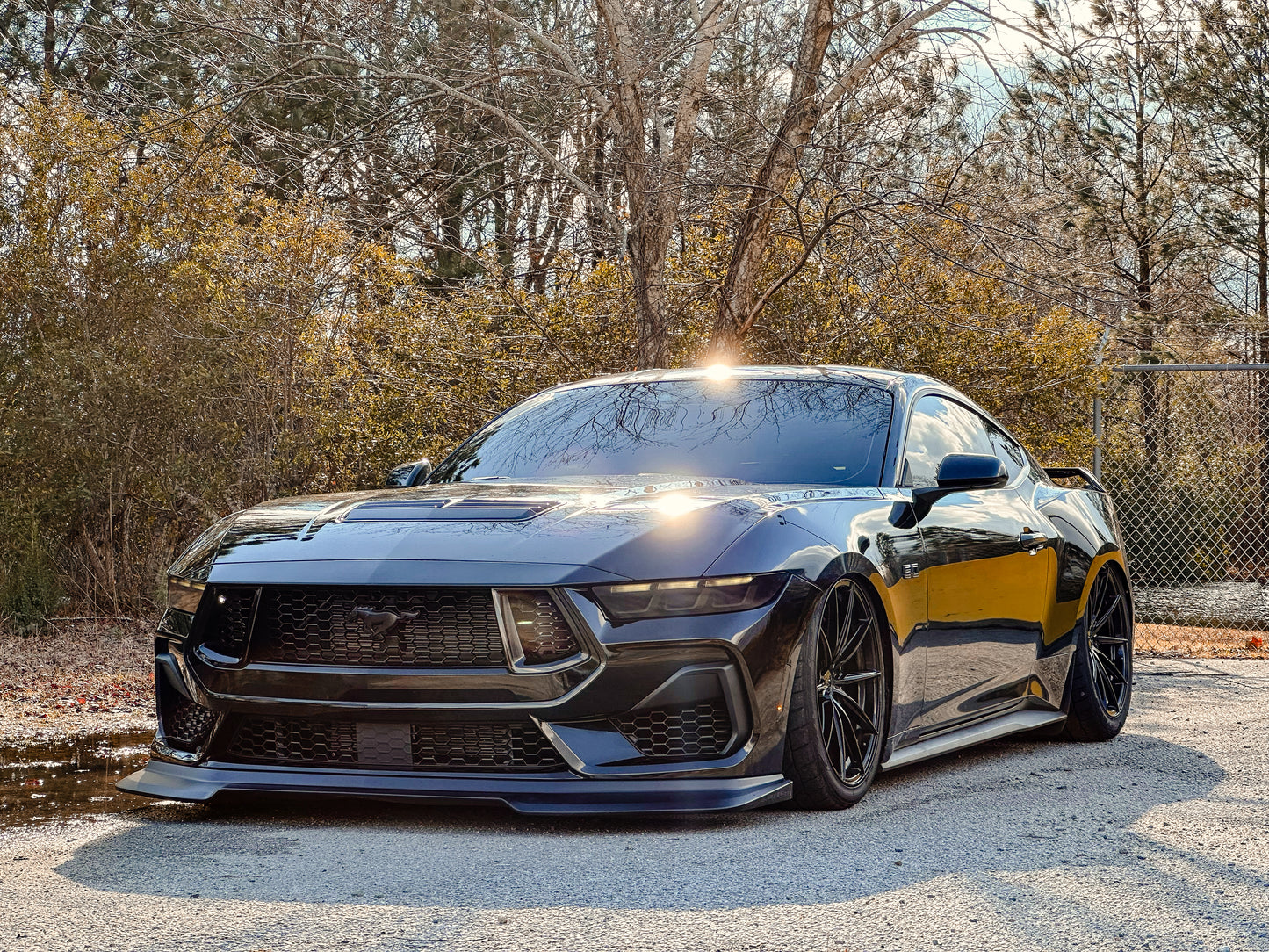 Front & Rear Lens Vinyl Tint (2024+ Mustang)