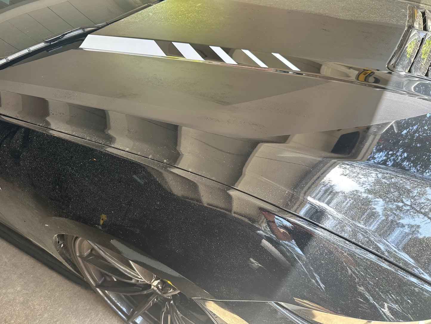 Hood Line Accent Step Graphics - Custom Text (2024+ Mustang)