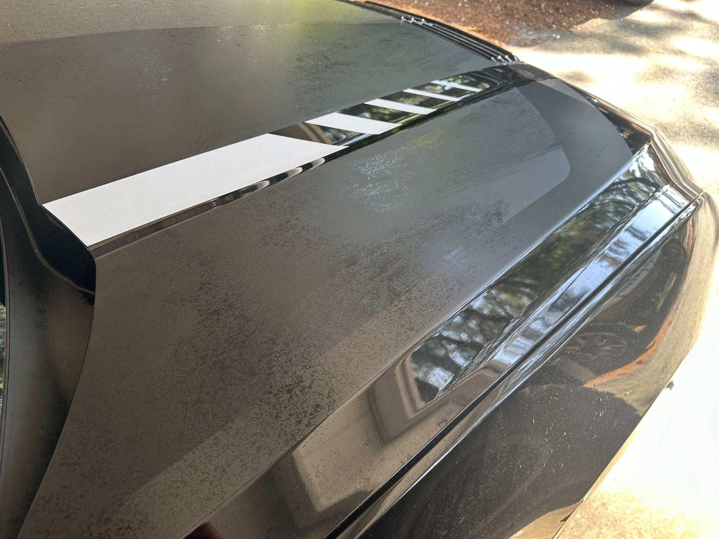 Hood Line Accent Step Graphics (2024+ Mustang)