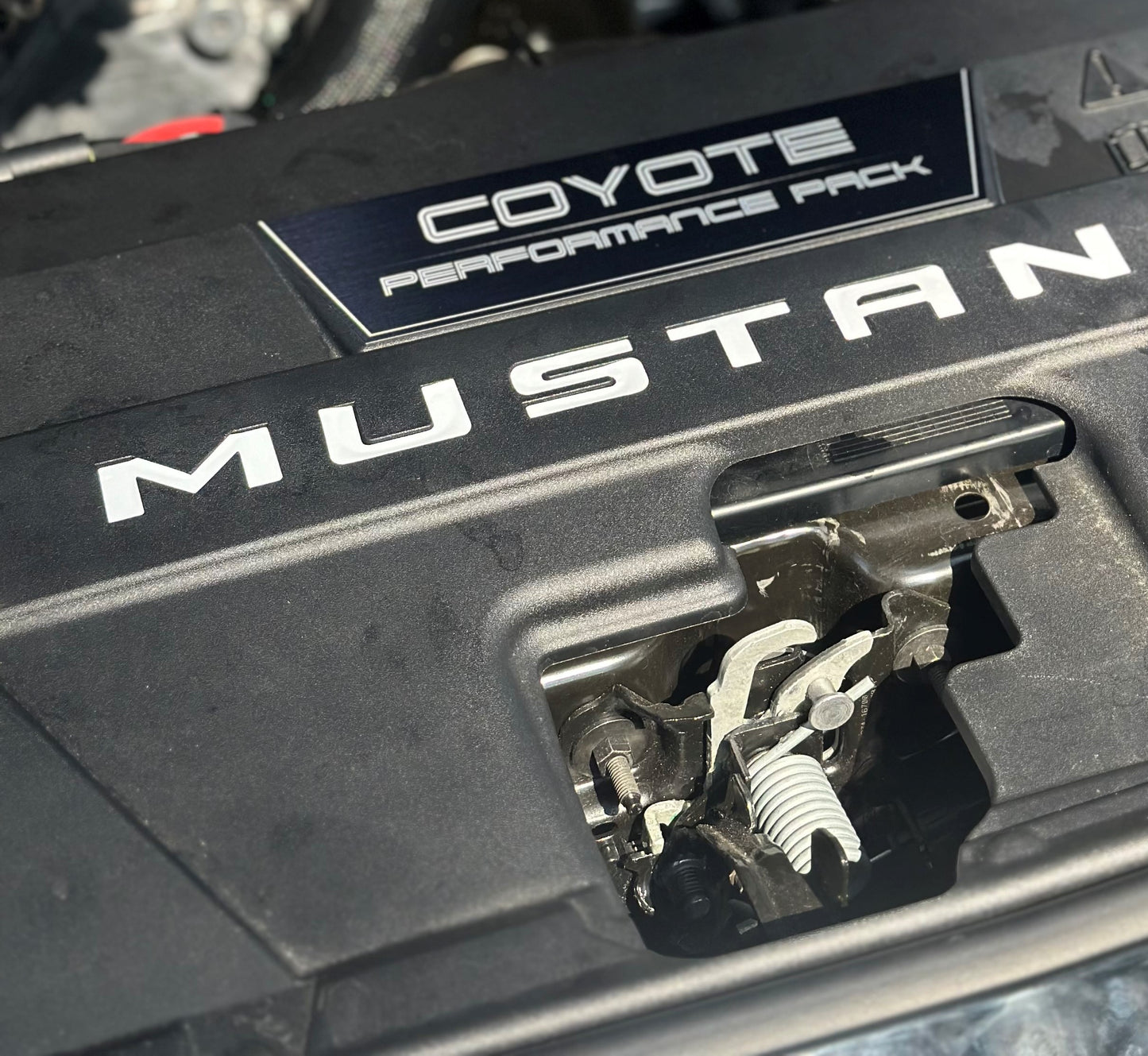 Radiator Shroud Vinyl Letters (2024+ Mustang)