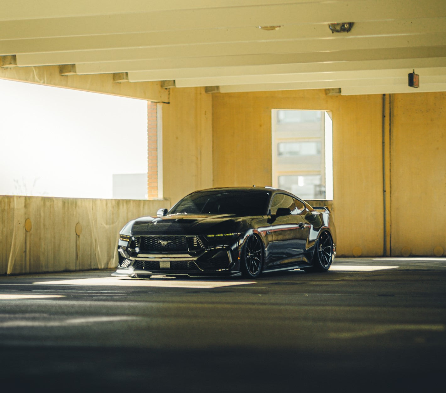 2024 Mustang (PREMIUM) Tint & Screen Protection!