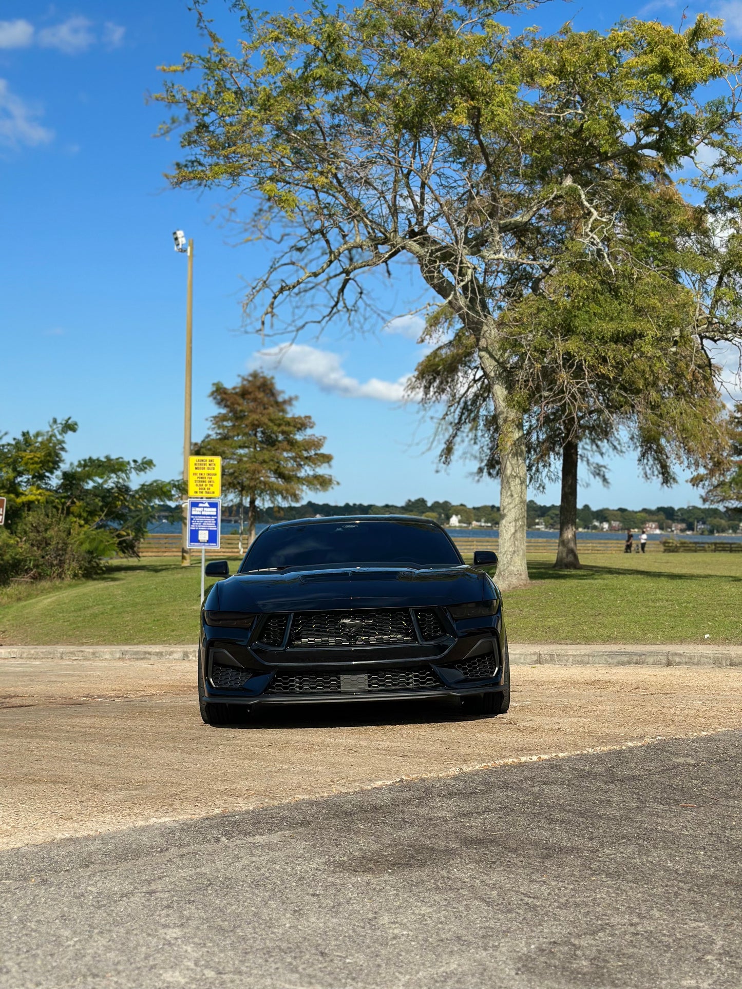 Headlight Lens Vinyl Tint (2024+ Mustang)