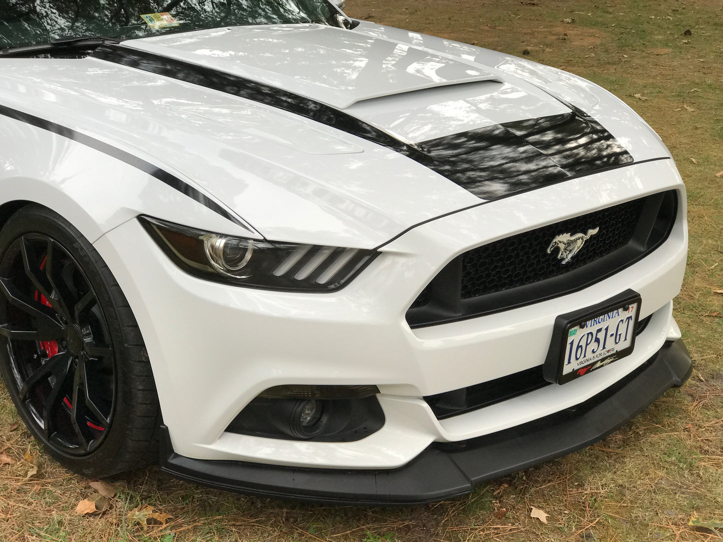 U3 Hood Decal (2015-2017 Mustang)