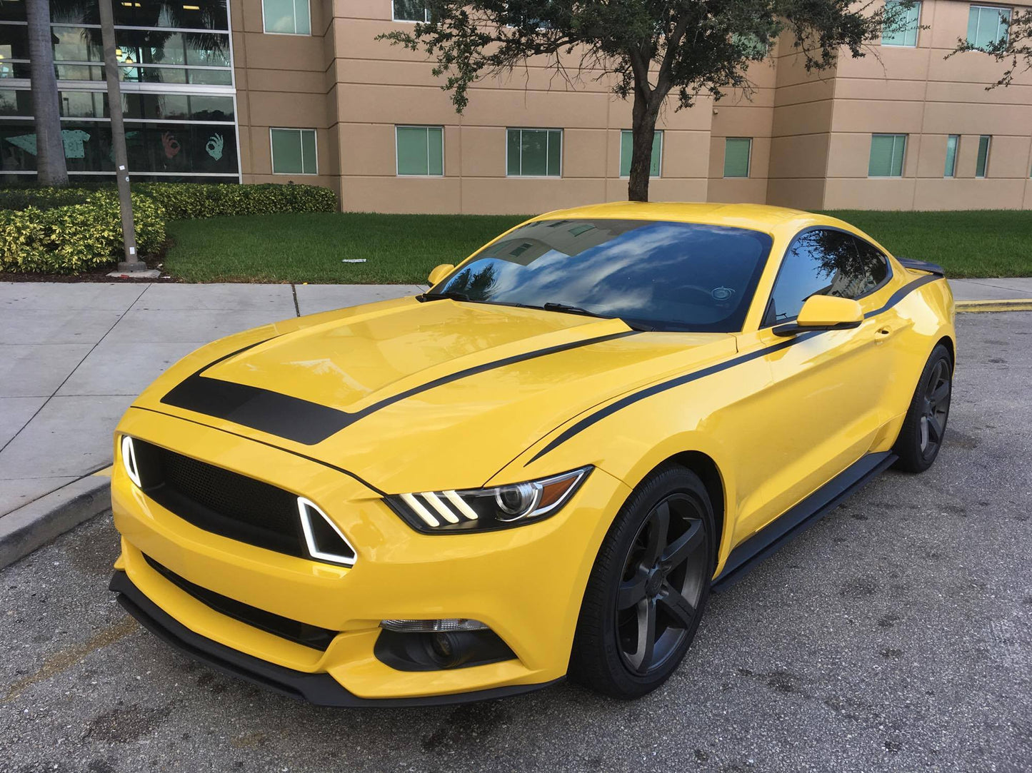 Combo U3 Hood Decal & Body Line Accents (2015-2017 Mustang)