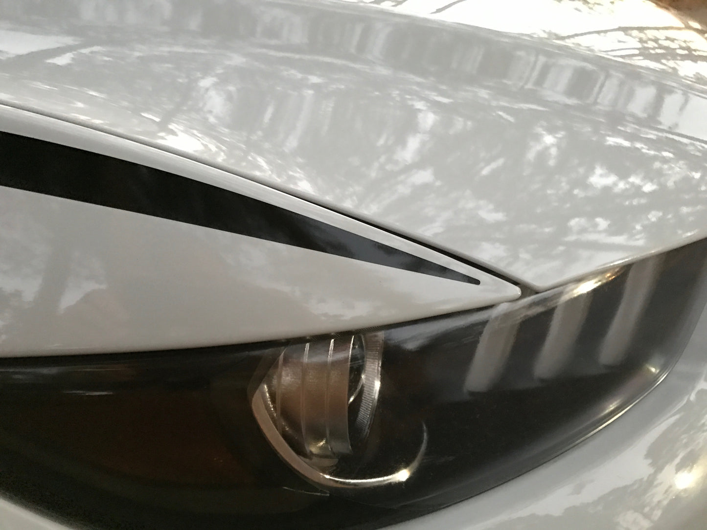 Body Line Accents (2015-2017 Mustang)