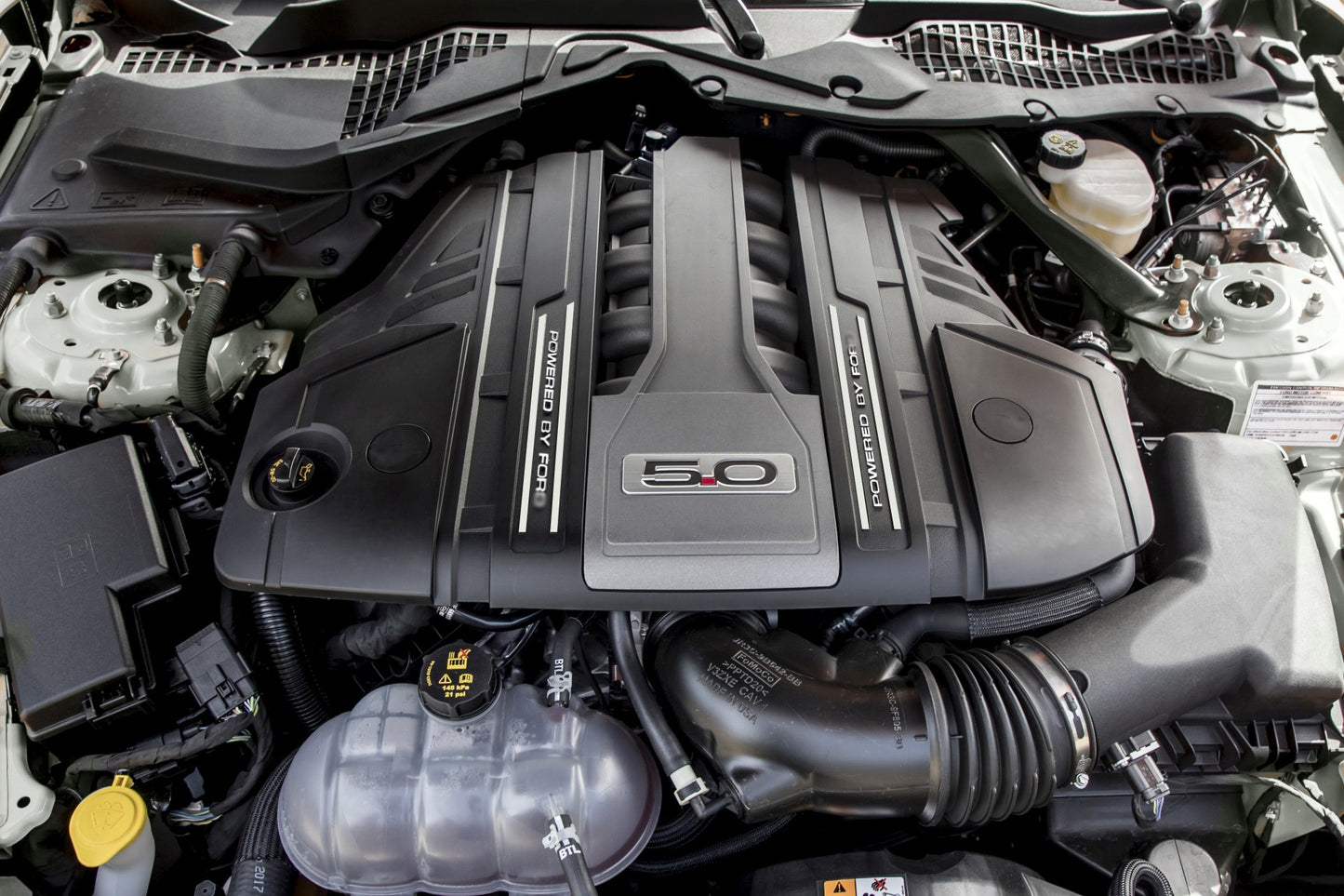 Letter Intake Cover Accents (2018-2023 Mustang)