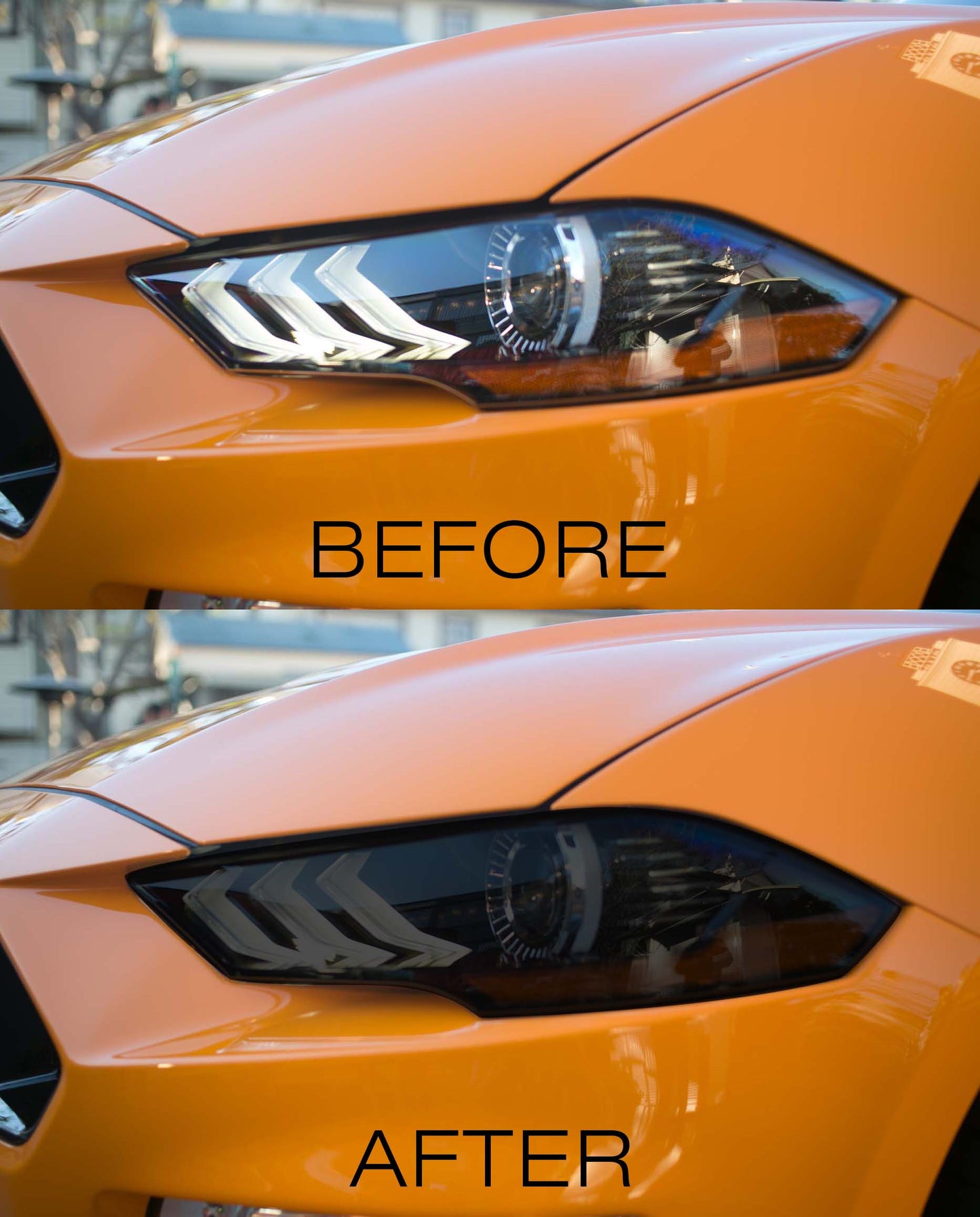 Headlight Lens Vinyl Tint (2018-2023 Mustang)