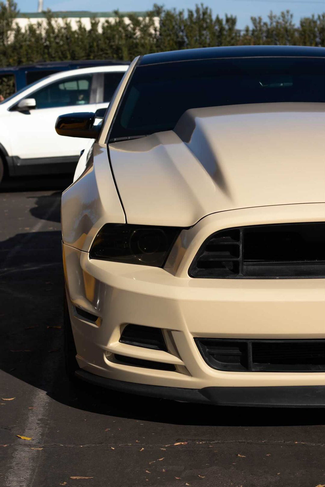 Headlight Lens Vinyl Tint (2010-2014 Mustang)