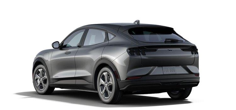 Rear Lens Vinyl Tint Kit (2021-2025 Mustang Mach E)
