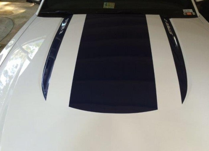 Roush Style Hood Kit (2010-2012 Mustang)