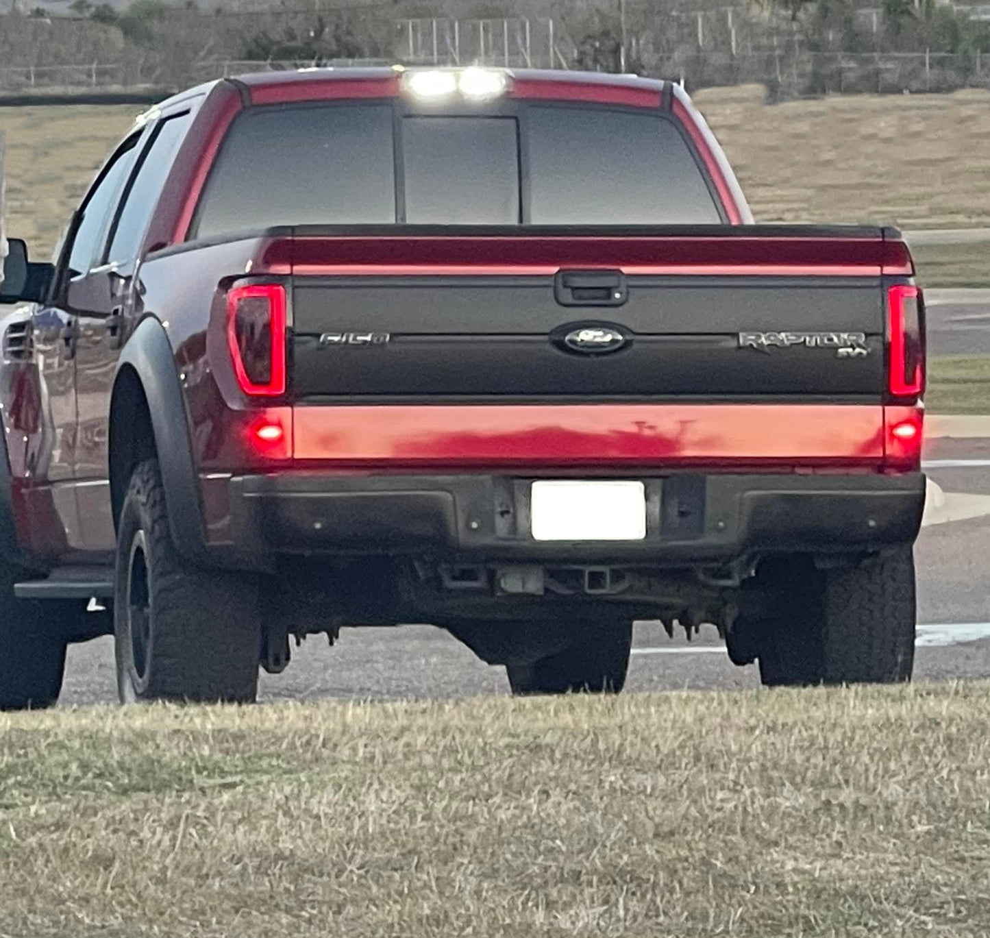 Rear Tailgate Center Black Out Panel (2009-2014 F150 / 2010-2014 Raptor)