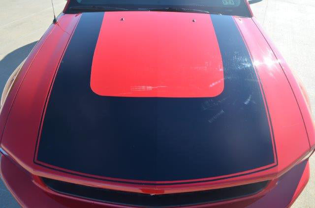 U3 Hood Decal (2005-2009 Mustang)