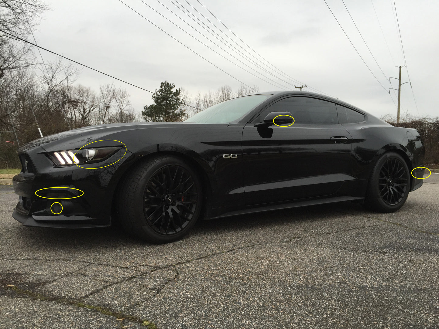 Front & Rear Lens Tint Kit (2015-2017 Mustang & 2016-2020 GT350)