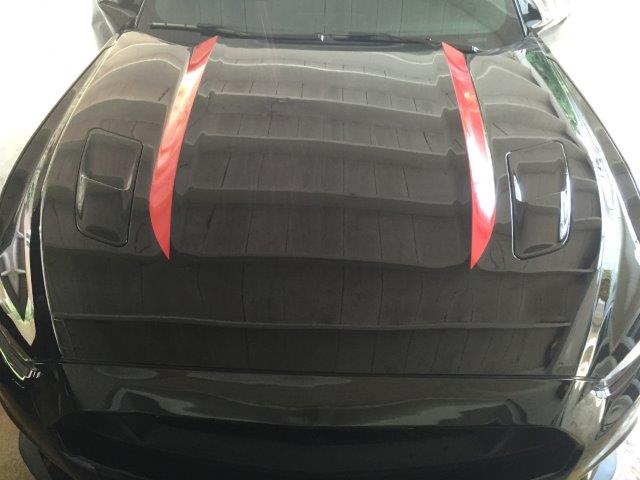 Roush Style Hood Line Accents (2015-2017 Mustang)