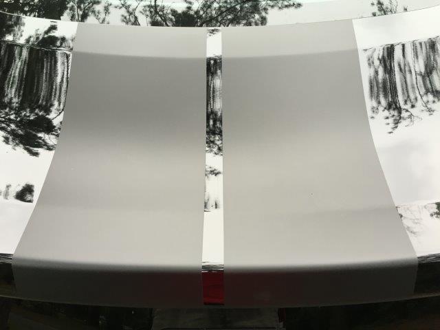 GT350 Precut 9" Racing Stripe Kit (2016-2020 GT350)