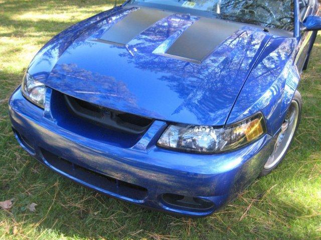 Hood Center Decal Kit (2003-2004 Cobra)