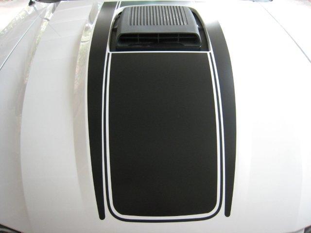 Shaker Hood Decals (2003-2004 Mach 1)