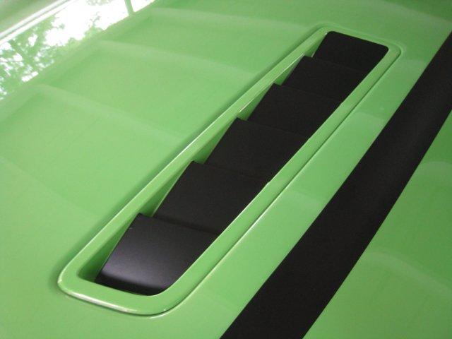 Hood Extractor Accents (2013-2014 Mustang GT)