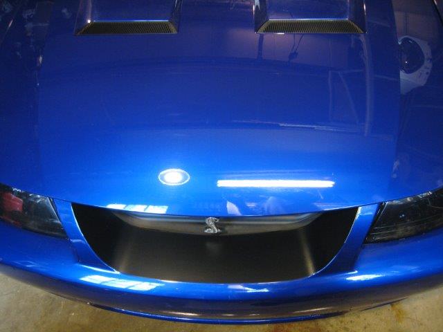 Front Grille Black Out Panel (2003-2004 Cobra)