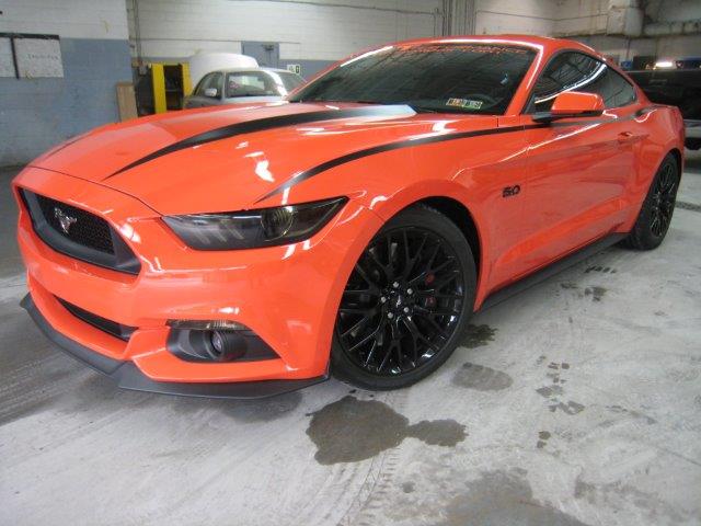 Body Line Accents (2015-2017 Mustang)