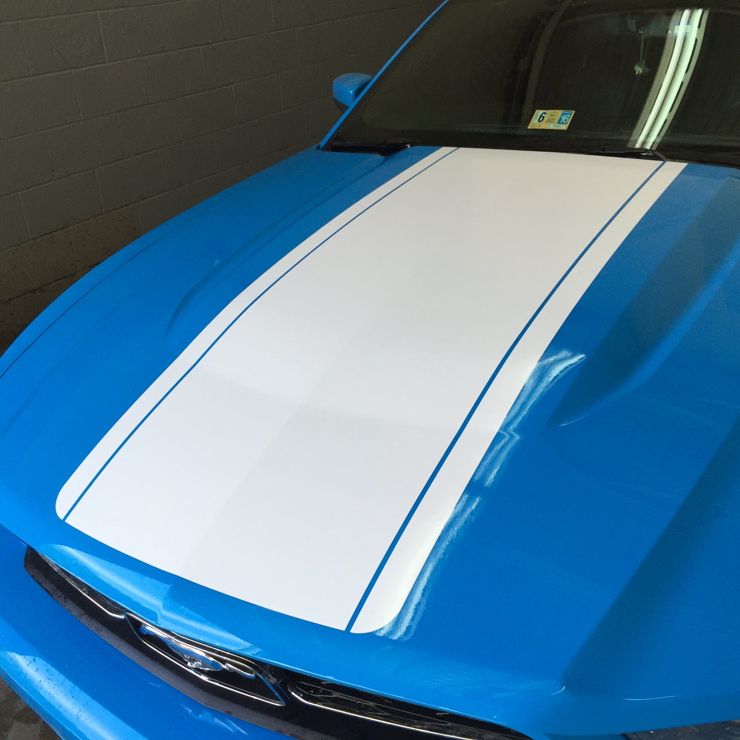 Hood Center Decal Kit (2010-2012 Mustang)