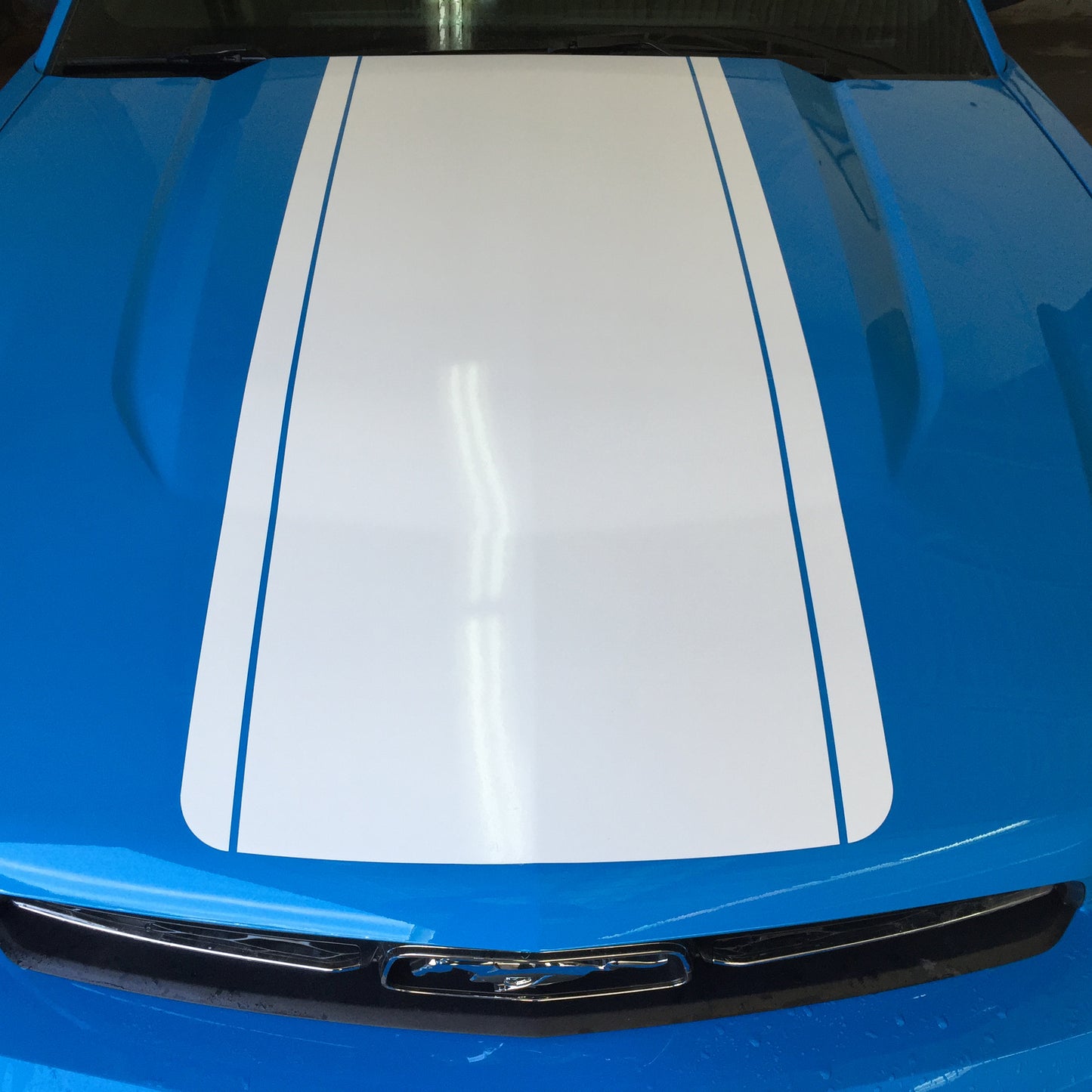 Hood Center Decal Kit (2010-2012 Mustang)