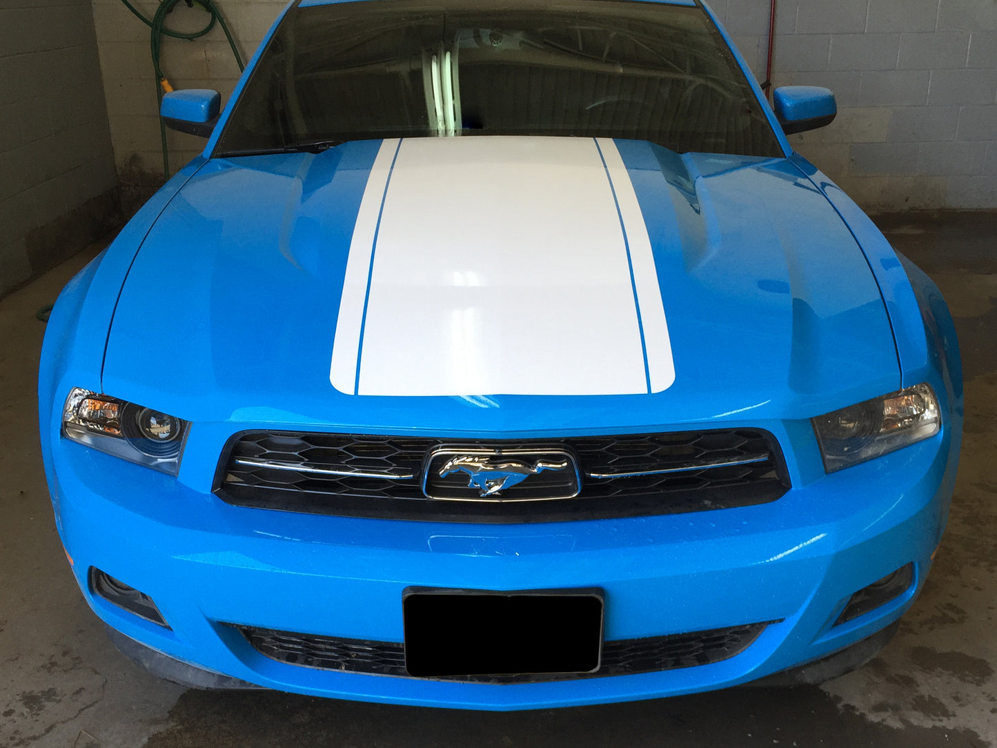 Hood Center Decal Kit (2010-2012 Mustang)