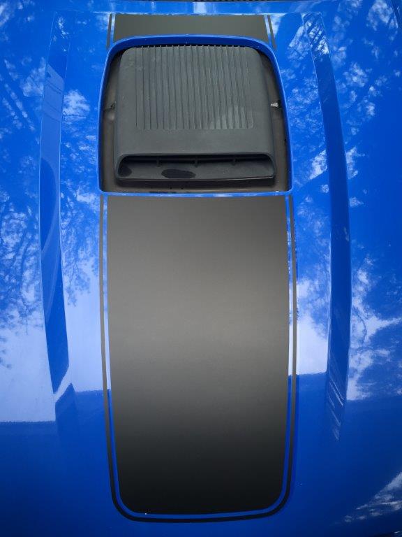 Shaker Hood Decals (2003-2004 Mach 1)