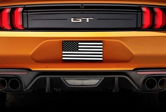 License Plate American Flag