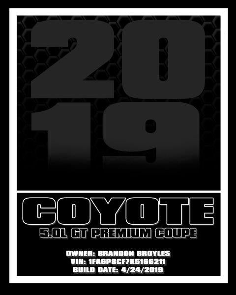 Show Board Print - Design 4