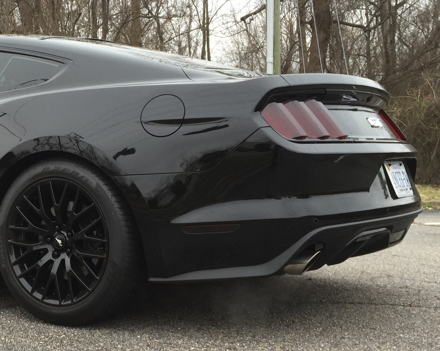 Rear Lens Vinyl Tint Kit (2015-2017 Mustang & 2016-2020 GT350)