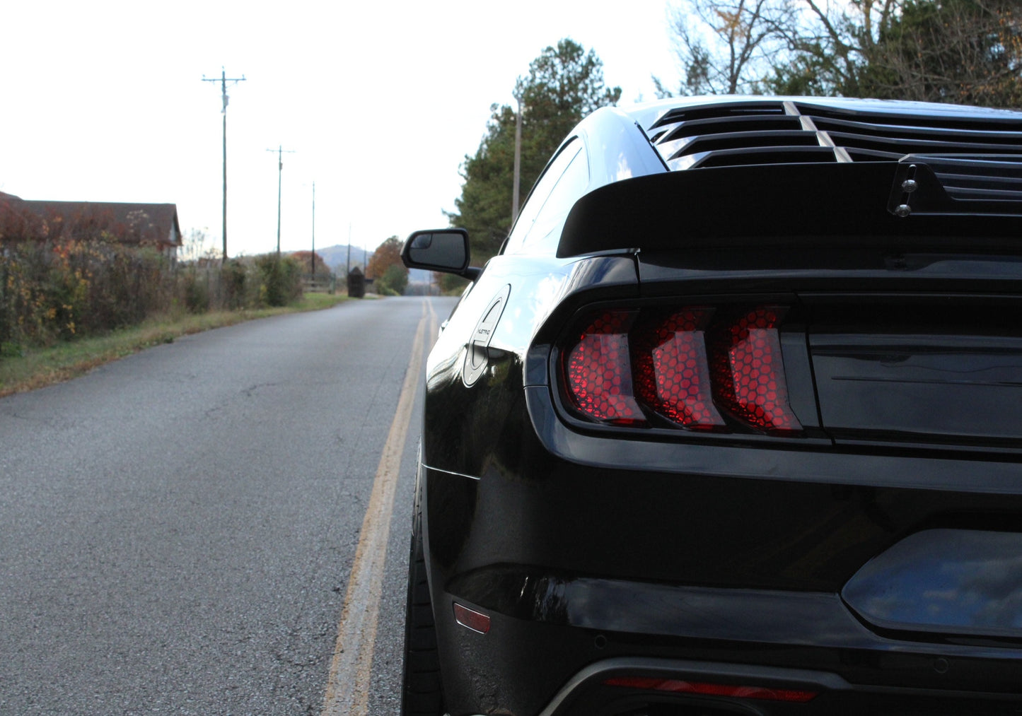 Tail Light Honey Comb Vinyl Overlay (2018-2023 Mustang)