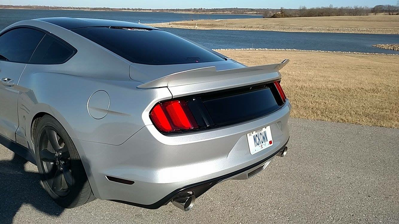 Saleen Style Black Out Panels (2015-2017 Mustang)