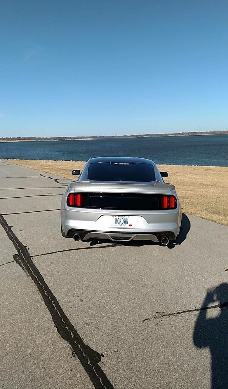 Saleen Style Black Out Panels (2015-2017 Mustang)