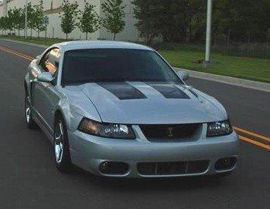 Complete Hood Decal Kit (2003-2004 Cobra)