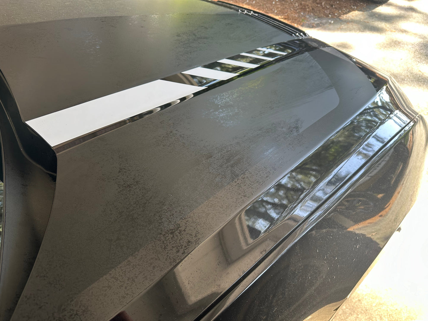 Hood Line Accent Step Graphics - Custom Text (2024+ Mustang)