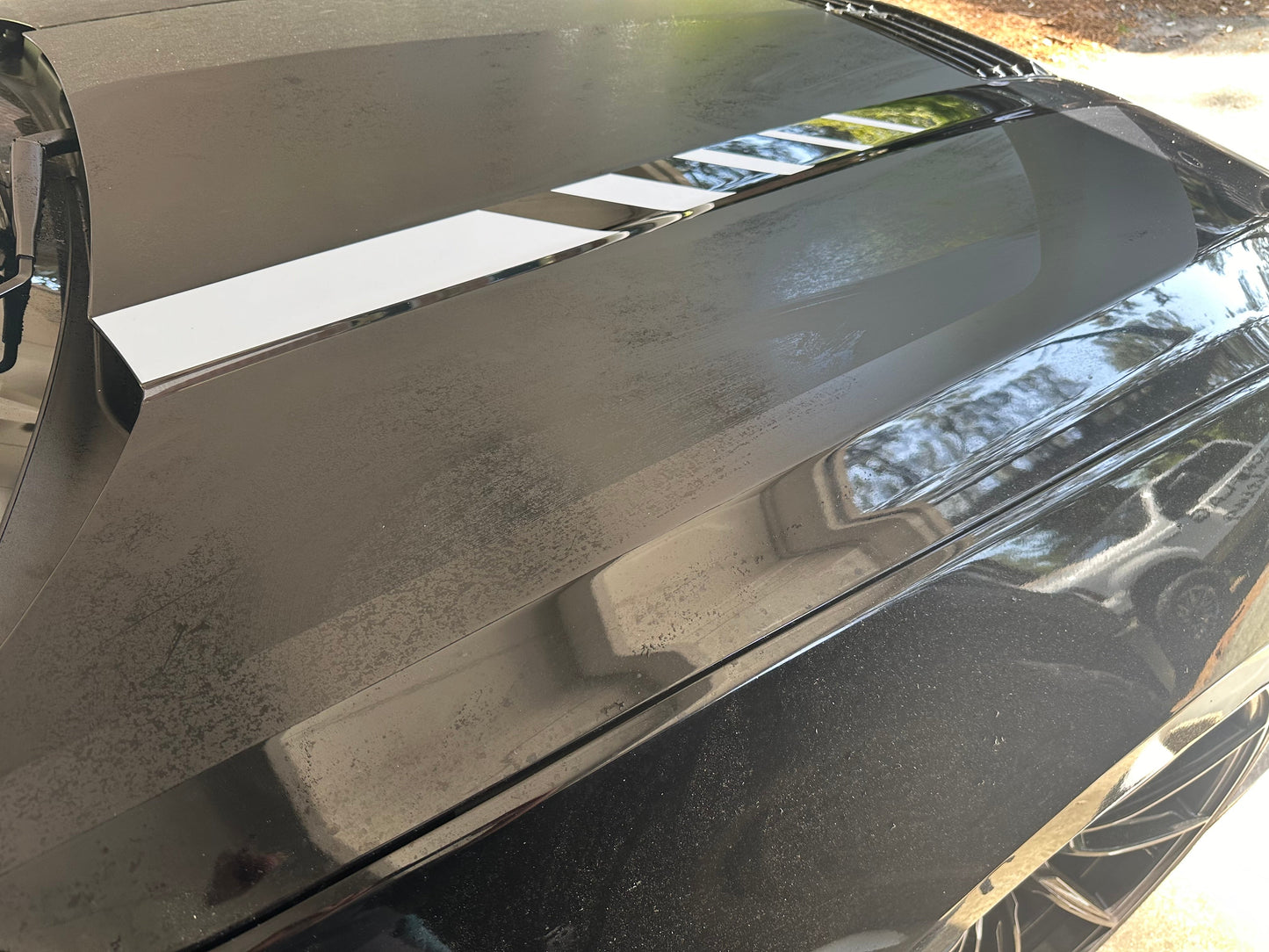 Hood Line Accent Step Graphics - Custom Text (2024+ Mustang)