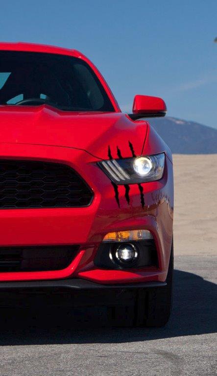 Battle Scar Decals (2015-2017 Mustang)