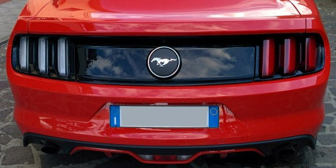 Front & Rear Lens Vinyl Tint Kit for EURO/INT (2015-2017 Mustangs & 2016-2020 GT350)