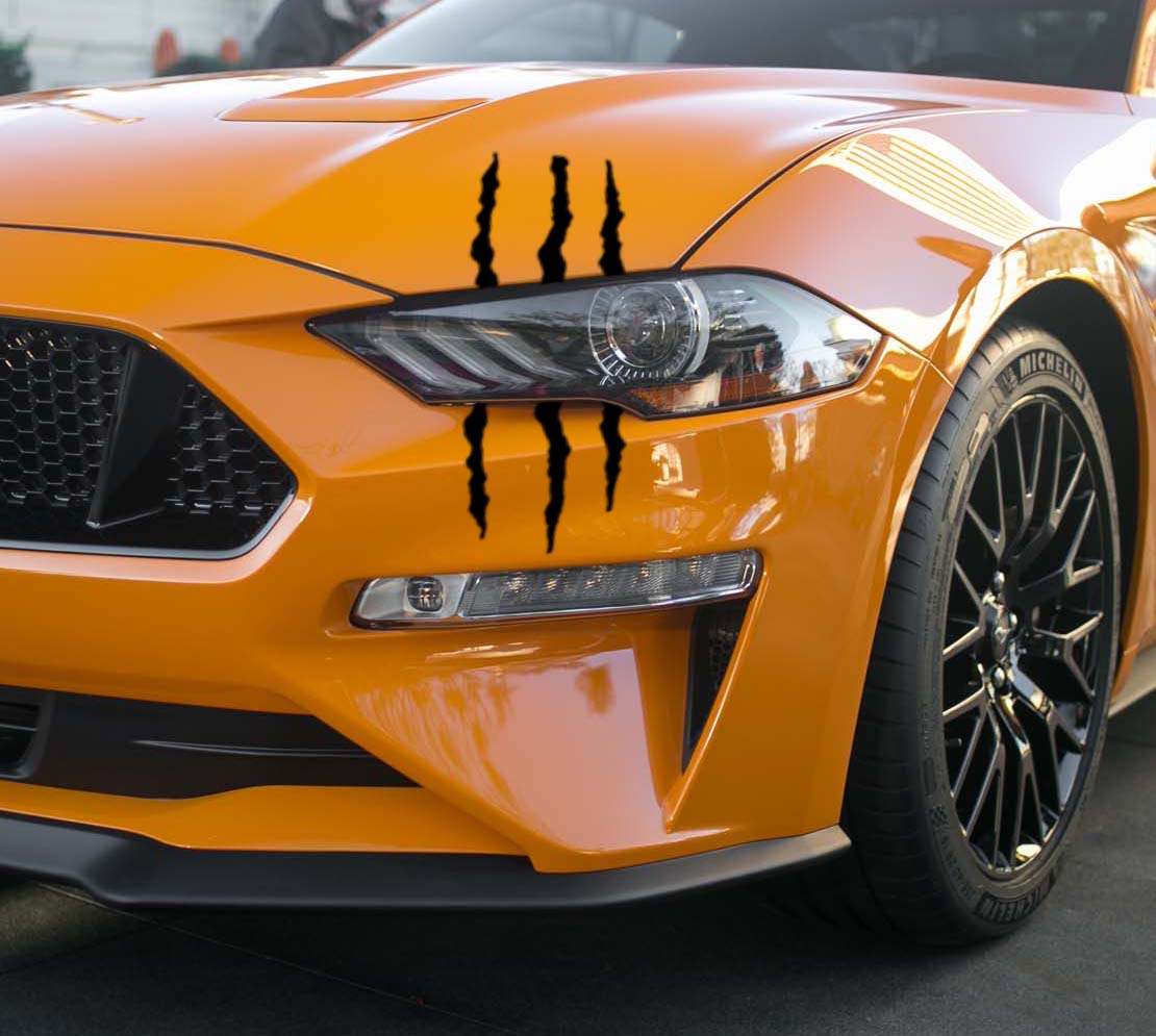Battle Scar Decals (2018-2023 Mustang)