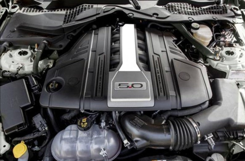 Center Intake Cover Accents (2018-2023 Mustang)