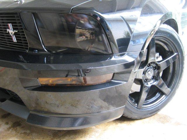 Headlight Lens Vinyl Tint (2005-2009 Mustang GT500)