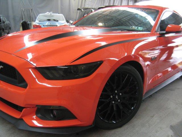 Body Line Accents (2015-2017 Mustang)