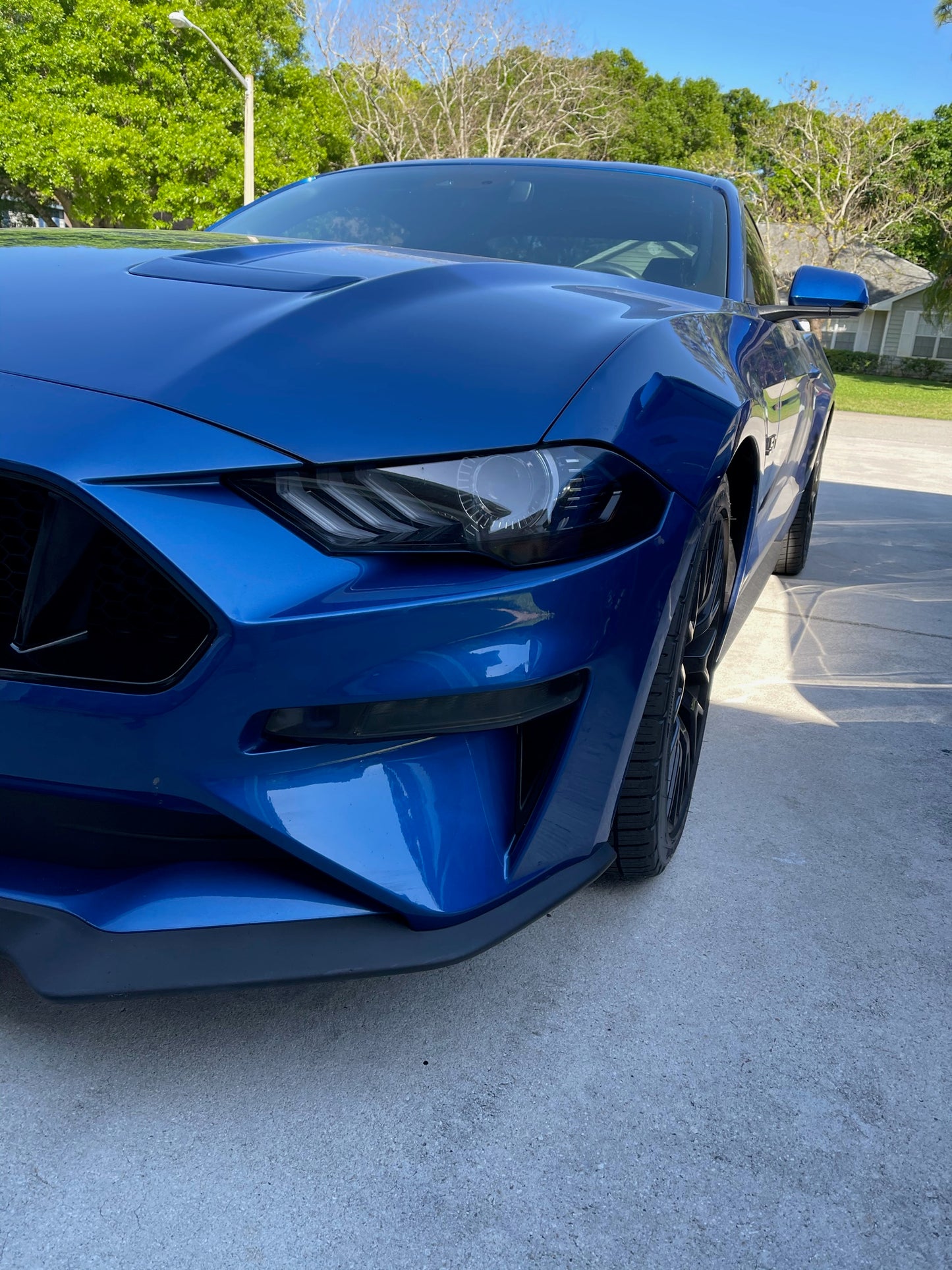 Front Side Marker/Fog Light Lens Vinyl Tint (2018-2023 Mustang)